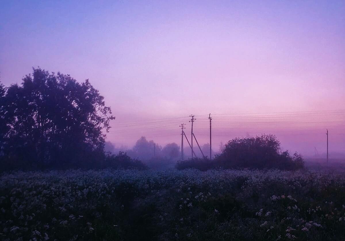 乐鱼体育app：让热爱变成一体化体育体验